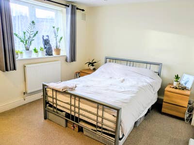Double room available 24 Jan - 15 Feb  Main Photo