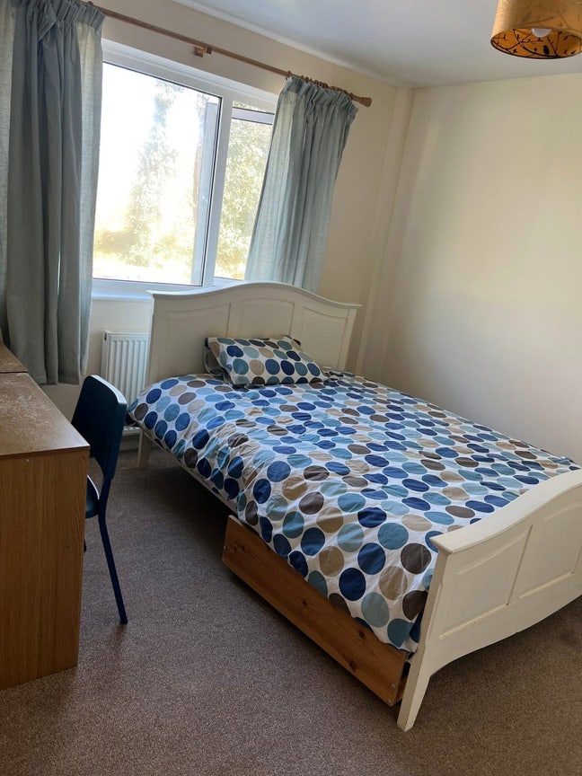 Double Room For Rent Main Photo