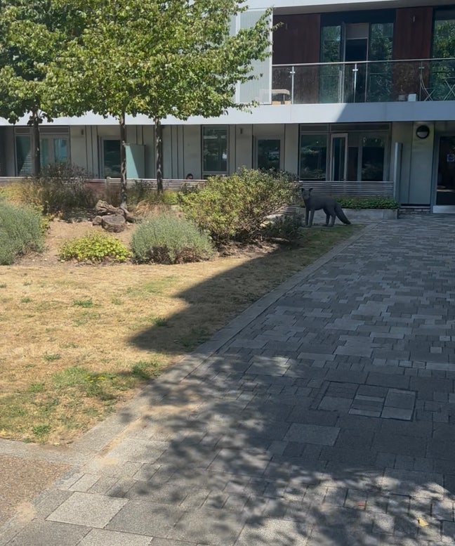 Double room with private bathroom in Queens Park Main Photo