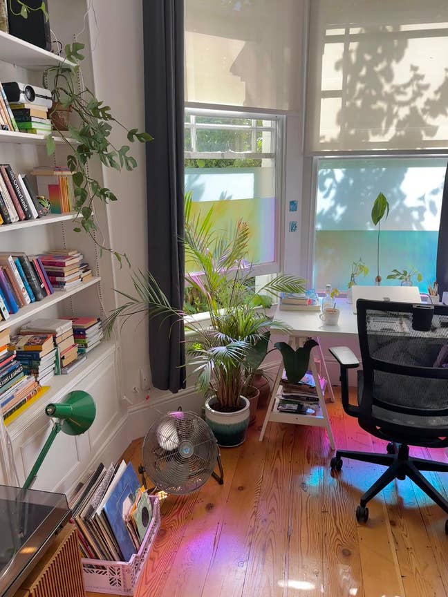 Double Room in Hornsey/Crouch End Main Photo