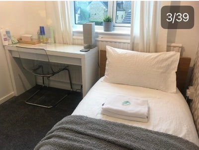 ✨Room within a Guesthouse✨ Main Photo