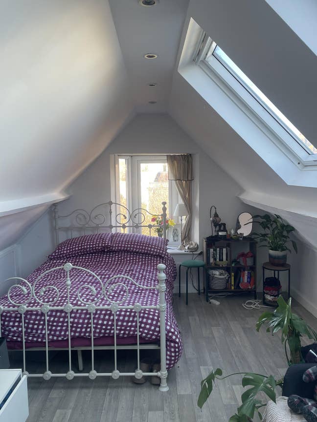 Cosy Studio Flat avaliable from Februaury 2026.  Main Photo