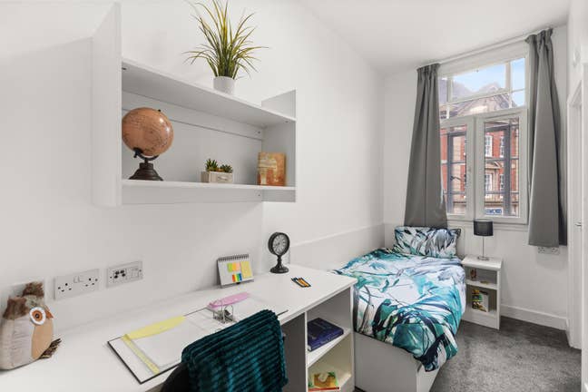 1 bed student house to rent Main Photo