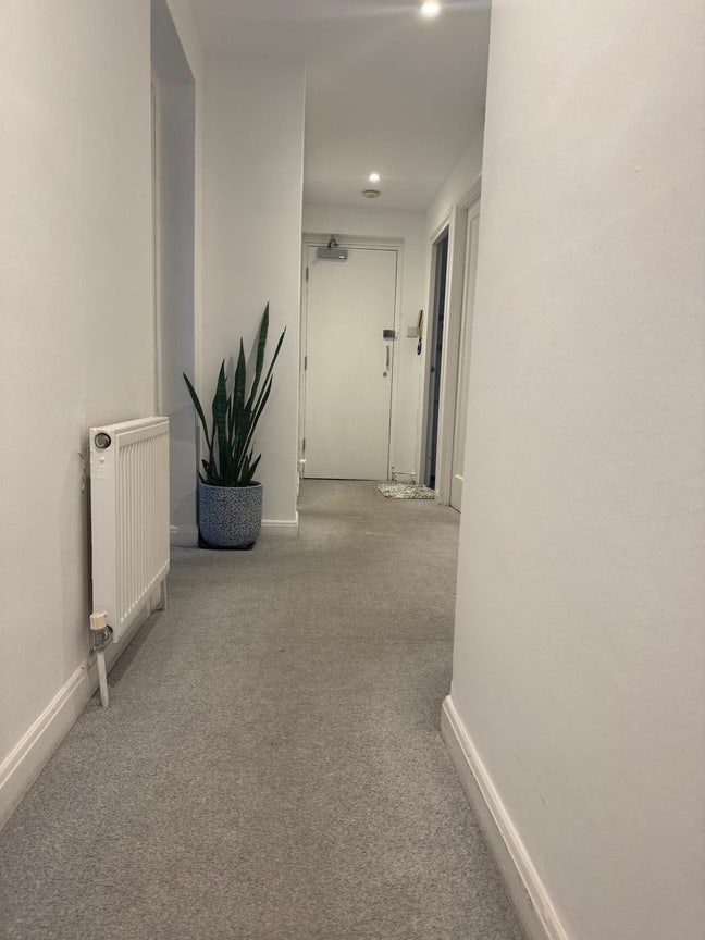 Bright spacious room to rent  Main Photo