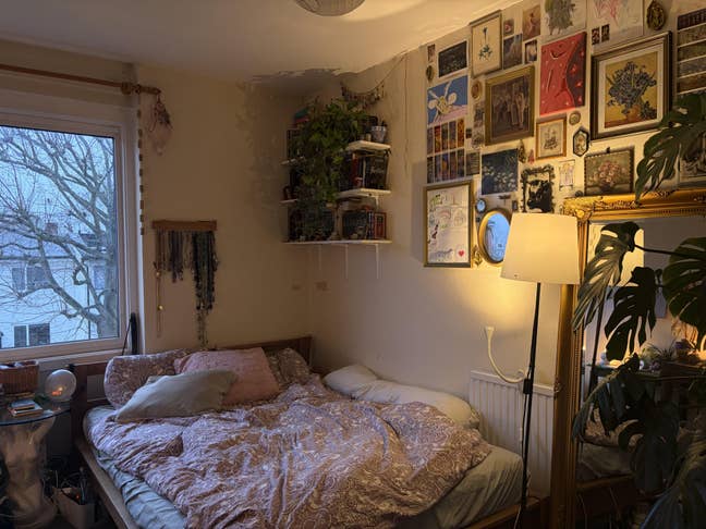 Room in a young house near Richmond Park Main Photo