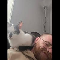 Looking for a room to rent/house share Main Photo