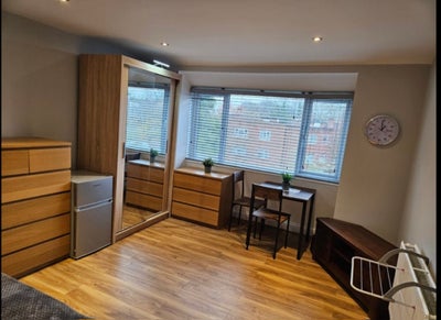 Huge,Spacious Double Room in Newly Refurbished Fla Main Photo