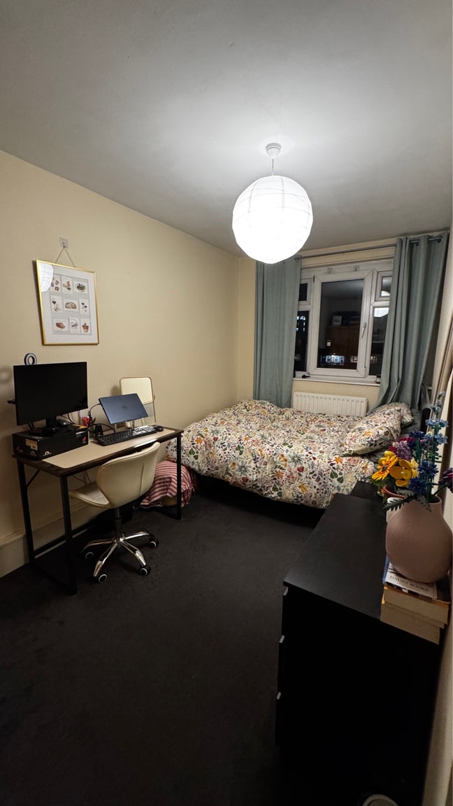 New Flatmate Needed Main Photo