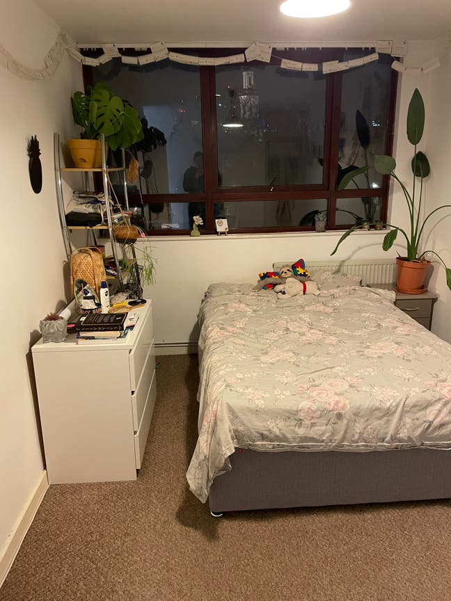 Room to Let Hoxton Main Photo