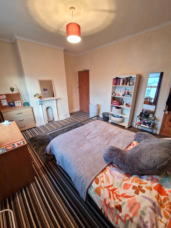 Double Room in Hunters Bar S11 Shared House Main Photo