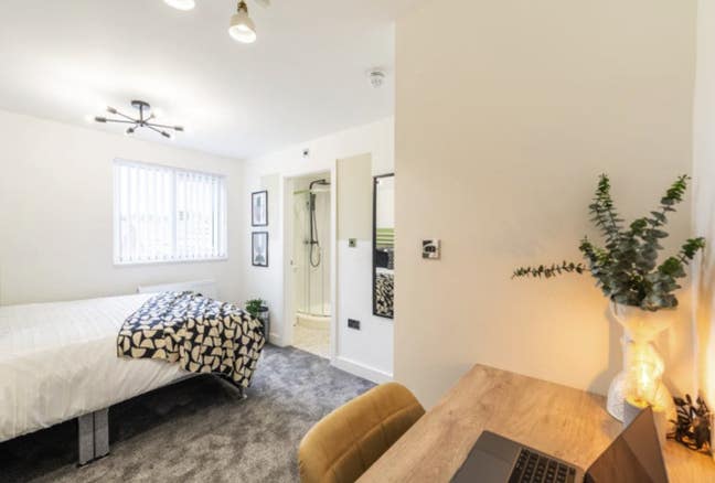 Newly furnished ensuite rooms, central Brighton.  Main Photo