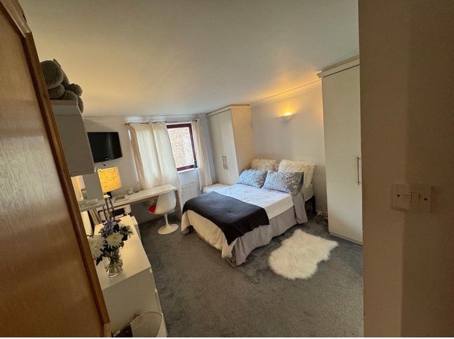 Large Room in Peaceful Flat Front River Main Photo