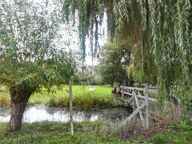 Sunny furnished single room on Chaucer Road Main Photo