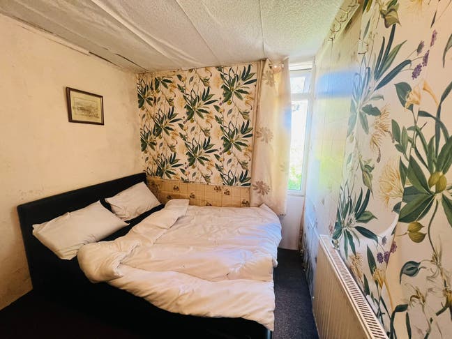 Double Room to Let Main Photo