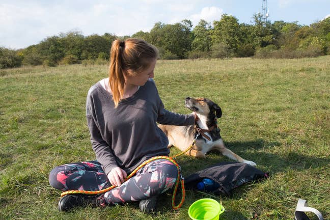 Looking for a room near Wembley, with a dog :) Main Photo