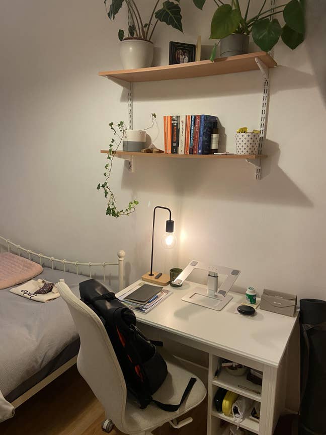 Lovely Room to rent in Barons Court Main Photo