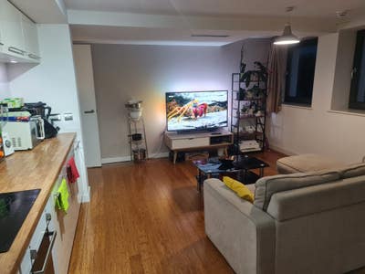 Modern 3 bedroom apartment near City Centre  Main Photo