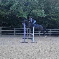 Professional Female seeks a double room Main Photo