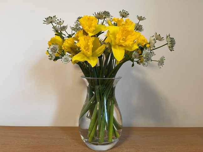 Single room; postgraduate Main Photo