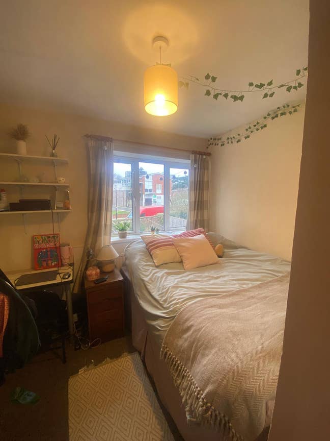 Room in a young house near Richmond Park Main Photo