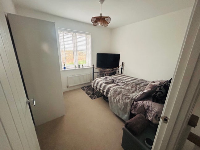 Contemporary Lovely Room Main Photo