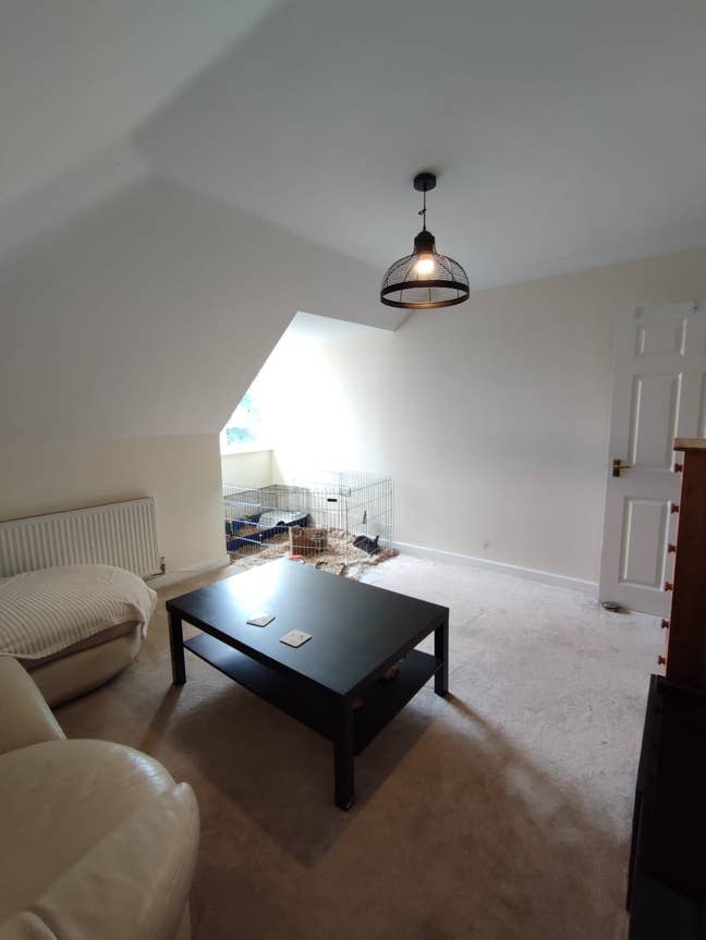 2 bed flat Charminster Main Photo