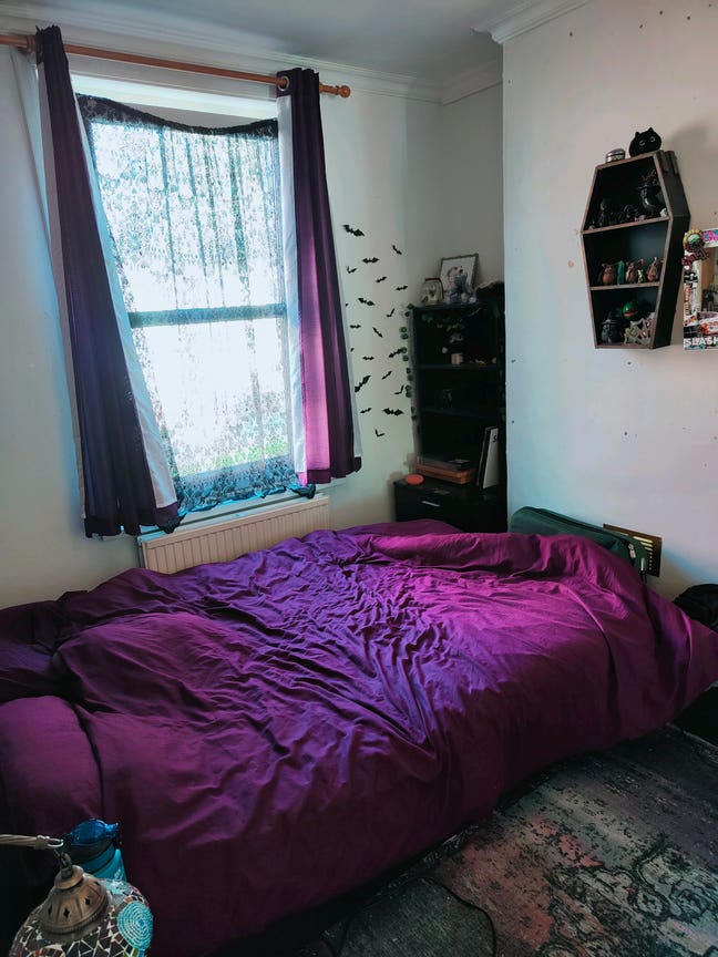 New house mate needed Main Photo