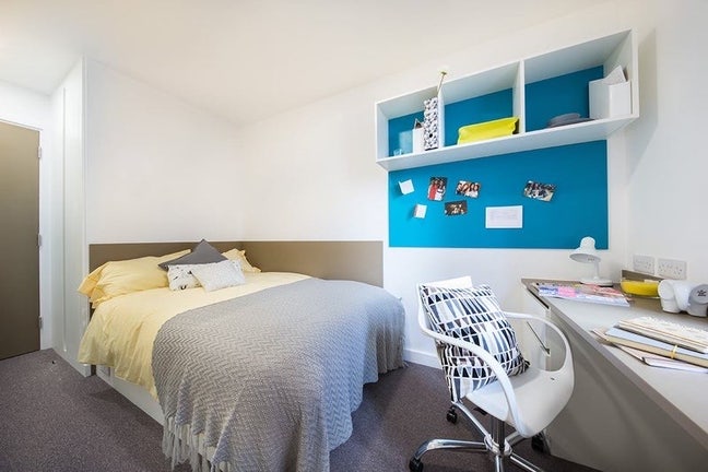 Single Room ¾ Bed in 3 Bed Modern Student Flat Main Photo