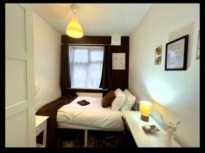 Friendly flatmate search! Main Photo