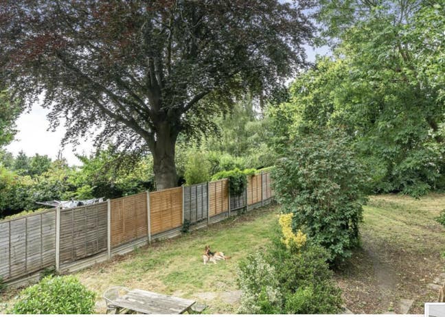 Large Room in leafy, quiet part of London Main Photo