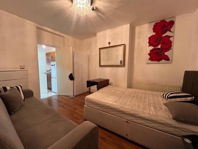 Beautiful Large Studio Flat with Garden – N17 Main Photo