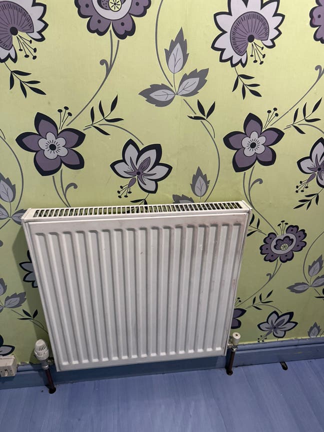 One single room is available in ws2 area Main Photo