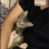 Looking for Flat move in February  Main Photo