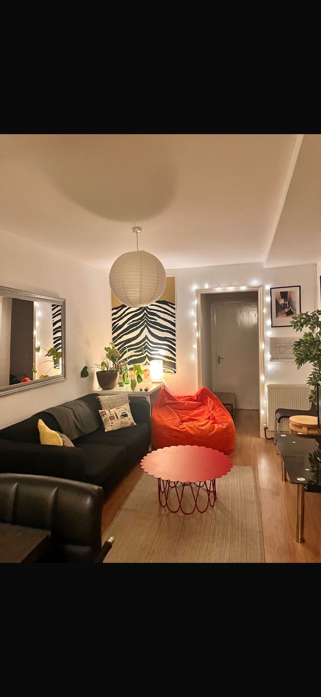 Cozy Room in Stokey Flat Main Photo