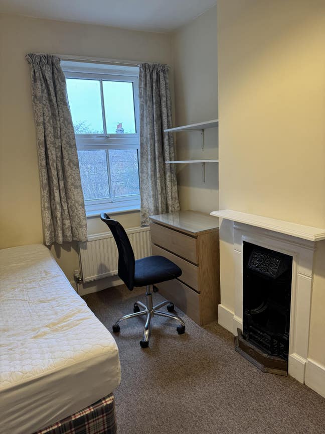 Single room professional Main Photo