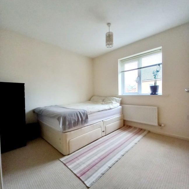 ⭐ Spacious Double Room in Respectful Home Main Photo