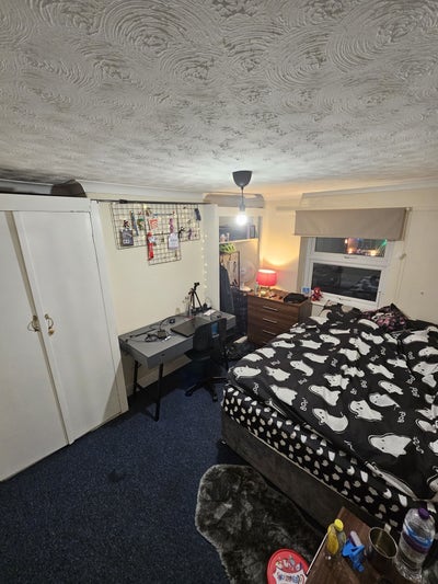 Spacious Room Near BU Talbot Campus Main Photo