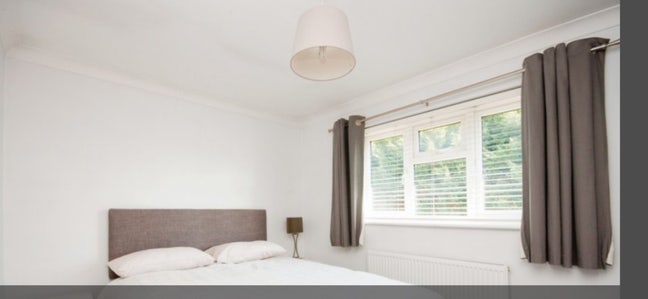 Friendly Household Main Photo