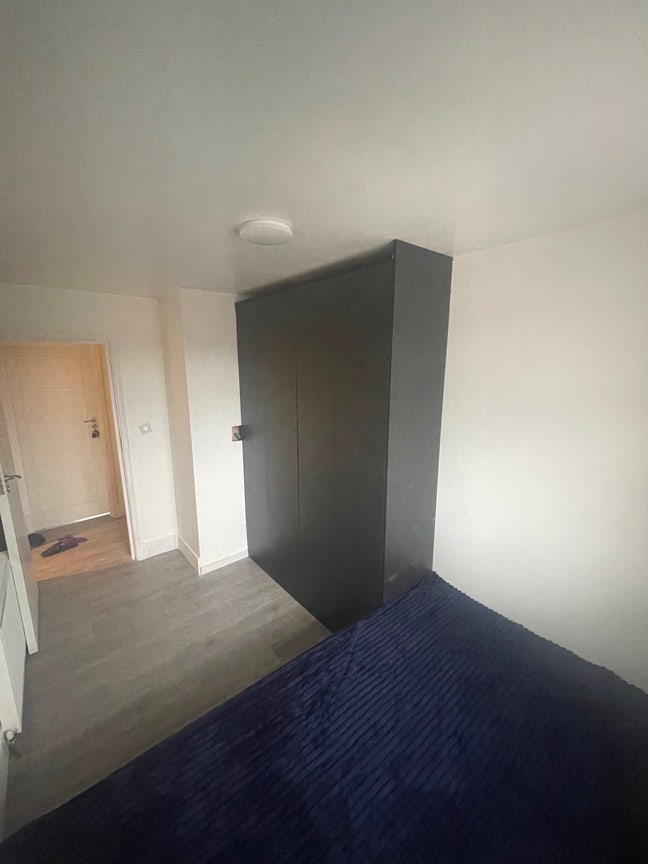 Looking for   tanents  Main Photo