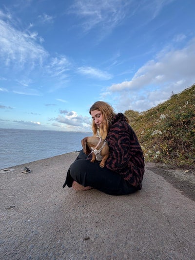 Single female with small dog looking for property  Main Photo