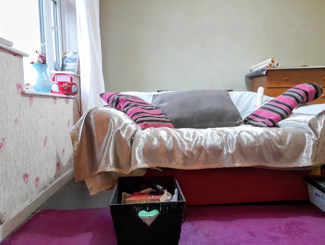  February  Main Photo