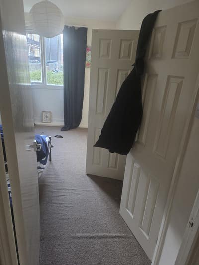 Flatmate needed Main Photo