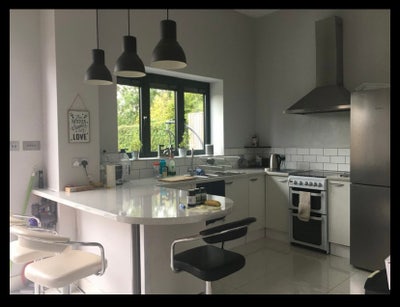 Dog friendly house wirh double room available  Main Photo