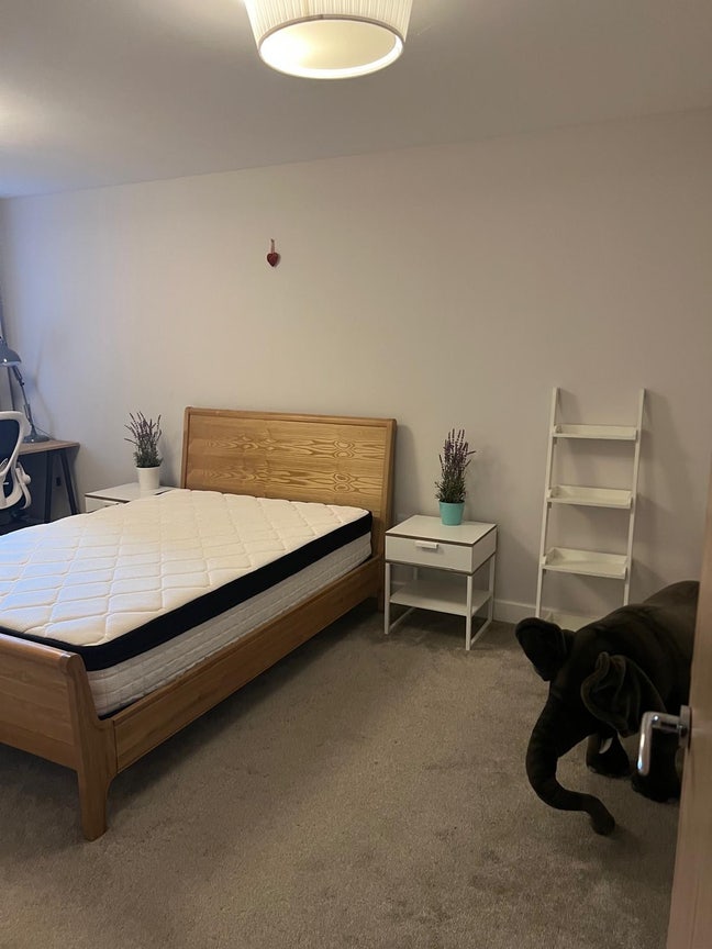 En-suite room Dalston Main Photo