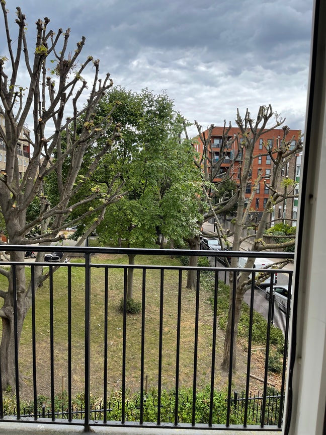 One Bright, Sunny,  fully furnished double room.  Main Photo