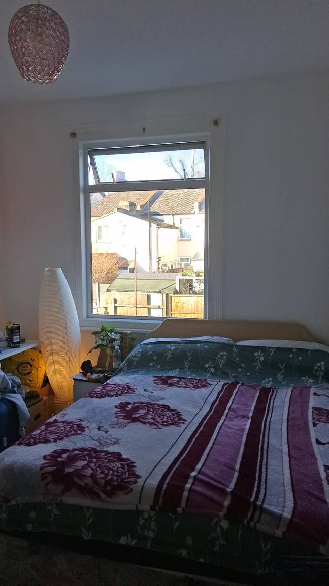 Cozy room in Croydon Main Photo