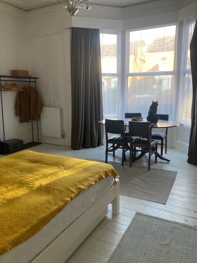 SHORT TERM large room in garden flat w/cats Main Photo