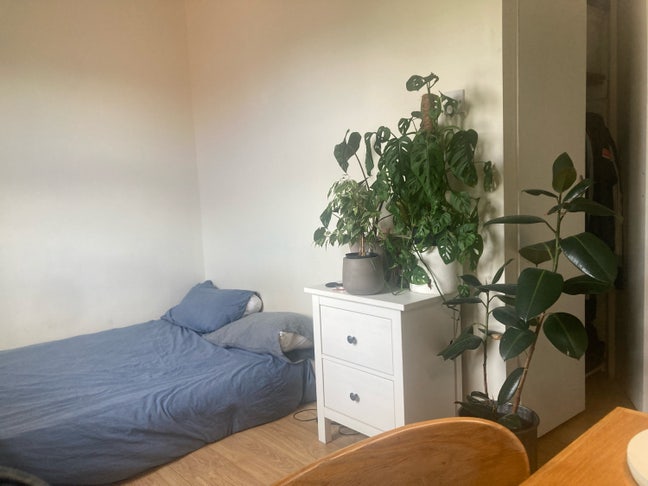 Room 2 minutes away from Seven Sisters station Main Photo