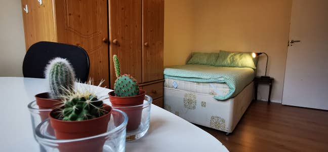 🐬Canary Wharf - Lovely Double Room🐬 Main Photo