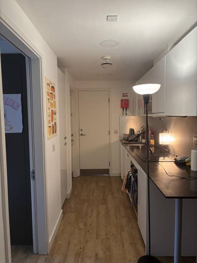Double student accommodation - UCL Postgrad Main Photo